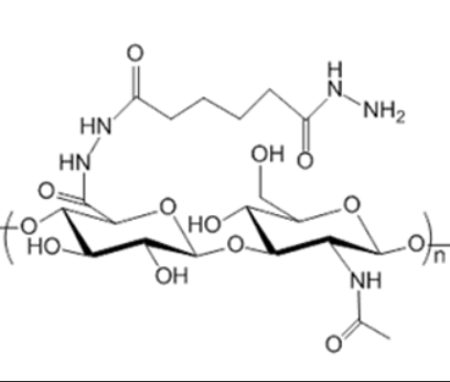 Hydrazide-grafted Hyaluronic Acid 酰肼接枝透明质酸的优缺点
