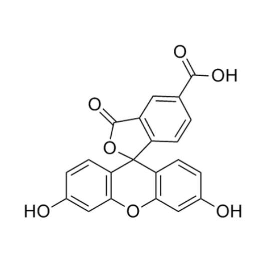 5-羧基荧光素马来酰亚胺  5-FAM-mal的产品综述