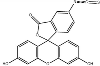FITC-AD 异硫氰基荧光素标记金刚烷的性质特点