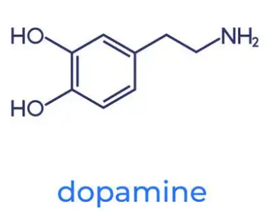 HA-MA-DOPA 透明质酸-甲基丙烯酸-多巴胺共聚物的结构式分析
