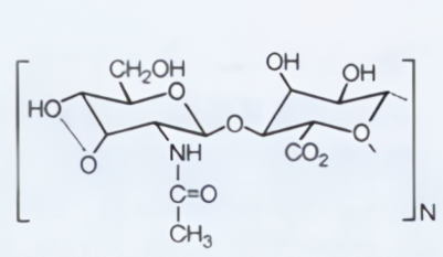 醛基化季铵盐-HA复合物的保湿作用机制