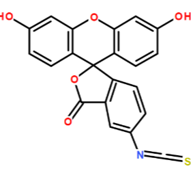 FITC-Type III Collagen 异硫氰酸酯-三型胶原蛋白的产品问答