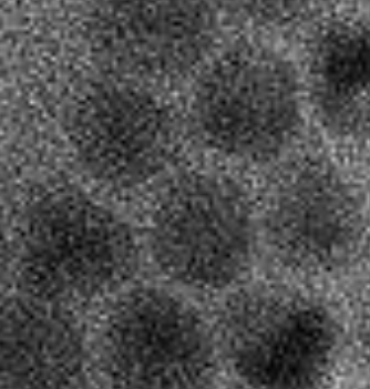 Carboxyl-functionalized CdTe/ZnS Quantum Dots的性能优势