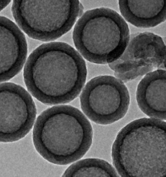 中空二氧化硅纳米粒子  Hollow Silica Nanoparticles的产品科普