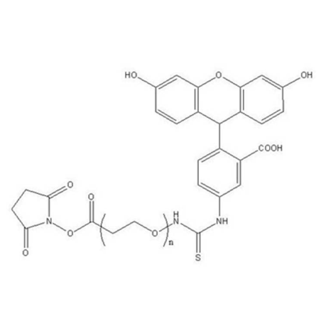 FITC-NHS荧光素标记活化羧基的生物学应用  
