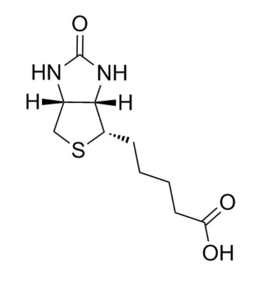 生物素结构式