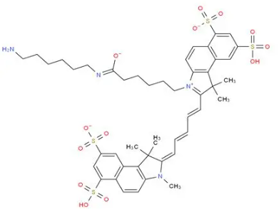 氨基修饰的磺酸基菁染料5.5