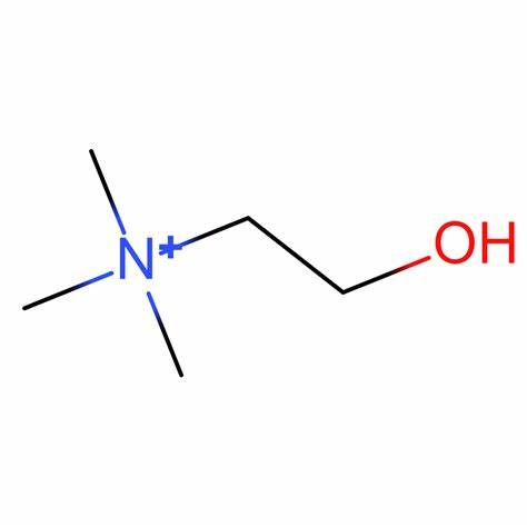 叠氮乙基胆碱  Azidoethyl-choline的产品科普