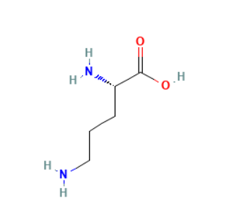 FITC-ornithine异硫氰酸荧光素-鸟氨酸的使用注意事项  