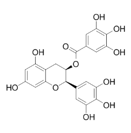 EGCG
