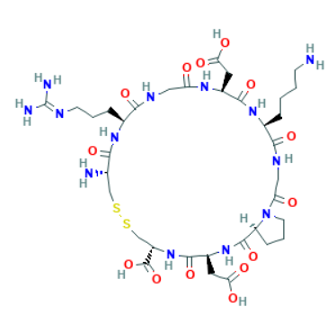 iRGD-labeled MDA-MB-231 cell membrane,iRGD修饰的MDA-MB-231细胞膜