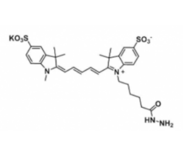 Hydrazide-modified Sulfo-Cyanine5 磺酸基-菁染料5-酰肼制备方法