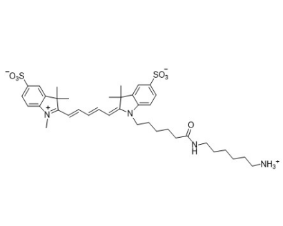 Sulfo-Cyanine5.5 Amine 磺酸基-Cy5.5-氨基的系列产品