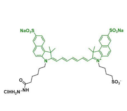 Sulfo-Cy5 hydrazide二磺酸基Cy5酰肼的溶解度详细介绍