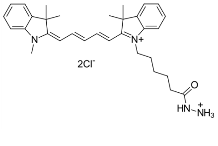 Sulfonated Cyanine5 Hydrazide Derivative的结构式分析