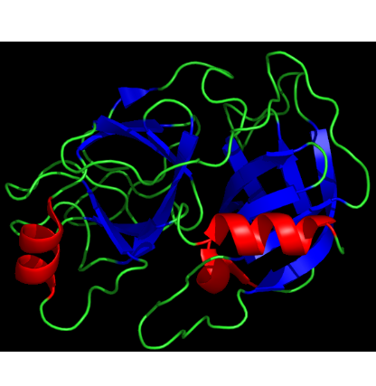 FITC-trypsin FITC-胰蛋白酶的性能特点  