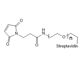 MAL-PEG-Streptavidin,马来酰亚胺-聚乙二醇-链霉亲和素
