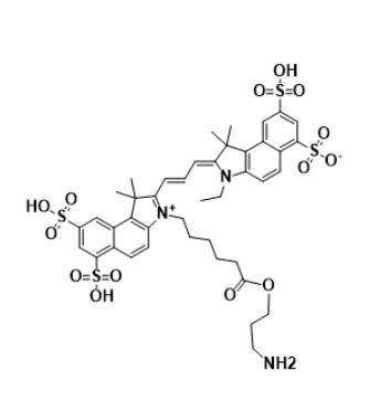 Cy3.5-amine 菁染料CY3.5-氨基