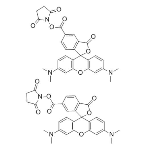 CAS：246256-50-8  5(6)-羧基四甲基罗丹明琥珀酰亚胺酯的产品使用指南