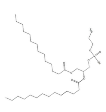 1,2-Dimyristoyl-sn-glycero-3-phosphoethanolamine的科研应用