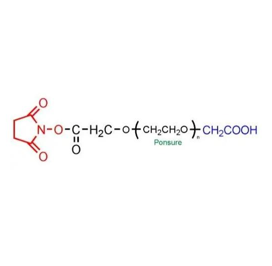  NHS-PEG-COOH 的分子结构与化学特性