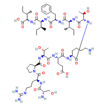  GAP27肽的生物学功能与应用  