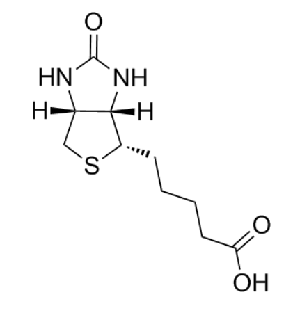 Biotin结构式
