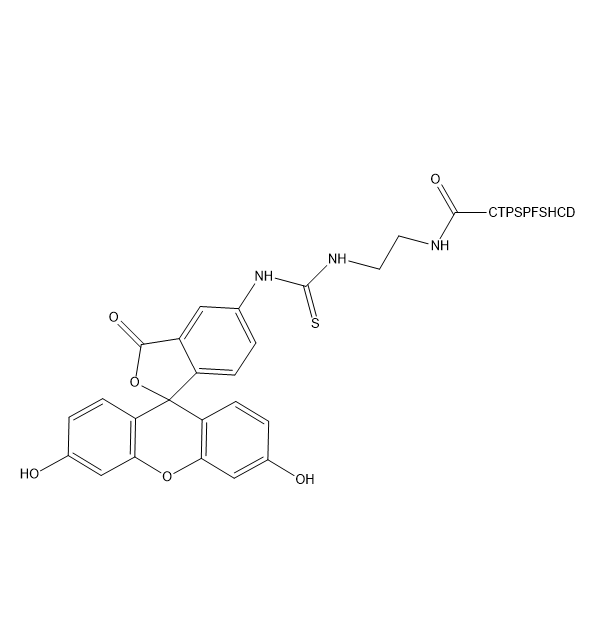 异硫氰酸荧光素标记的CTPSPFSHCD肽段  5-FITC-CTPSPFSHCD的产品科普