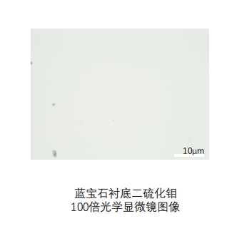 蓝宝石衬底二硫化钼（MoS₂）