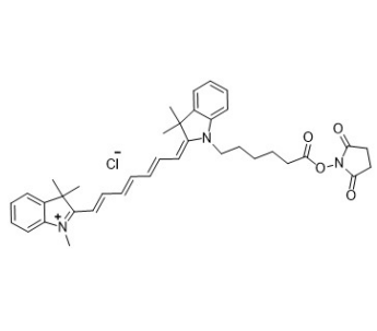 Lipophilic Cyanine7-N-hydroxysuccinimide ester的物理性质和应用
