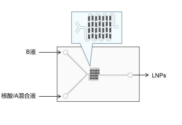微流控法制备 LNPs