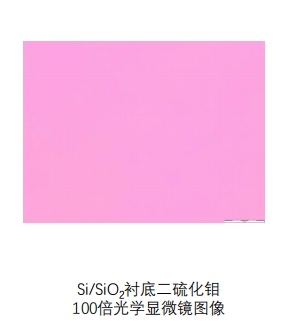 Si/SiO2衬底二硫化钼MoS2