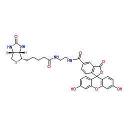 生物素-4-荧光素  5-FITC-4-Biotin-4的性能优势