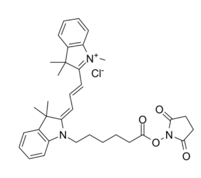 Ester-soluble Cyanine3 N-hydroxysuccinimide ester的优缺点