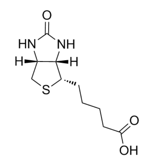 Biotin结构式