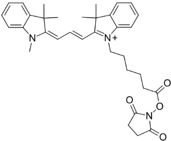 Ester-soluble Cy3 NHS 脂溶 CY3-NHS的结构式分析