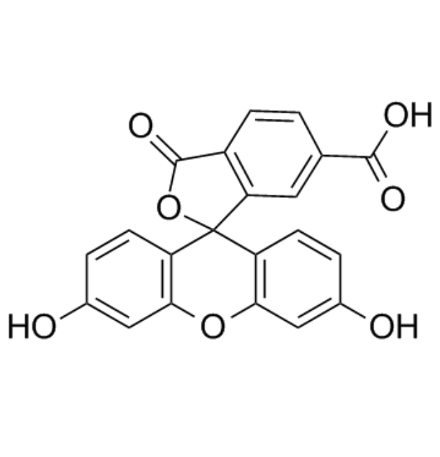 CAS：3301-79-9  6-羧基荧光素  6-FAM的产品科普