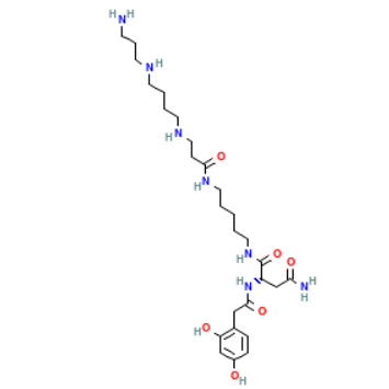 Lactoferrin 乳铁蛋白的主要性质与功能  