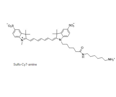 Sulfo-Cy7-NH2 单磺酸化菁染料CY7胺的产品使用指南