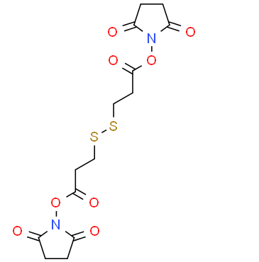 DTSSP 3,3'-二硫代二丙酸 二 (N-羟基丁二酰亚胺酯)的溶解度详细介绍