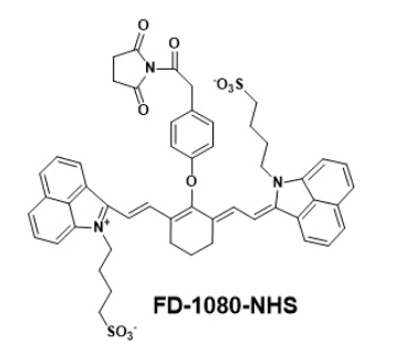 FD-1080-NHS,近红外二区荧光染料 FD-1080-N-羟基琥珀酰亚胺酯