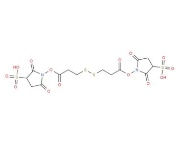 DTSSP Crosslinker 3,3-二硫代双 (磺酸琥珀酰亚氨基丙酸酯)的产品使用指南