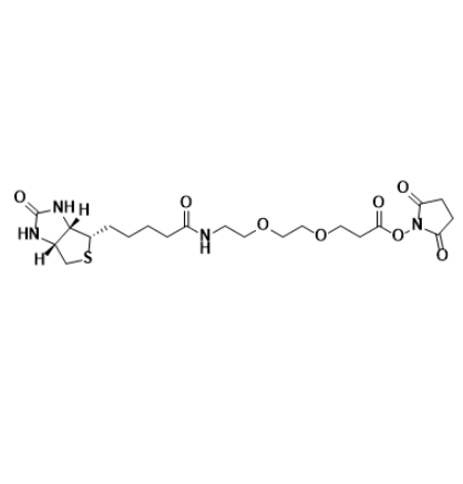 生物素-聚乙二醇2-活性酯在生物成像探针设计中的荧光标记应用