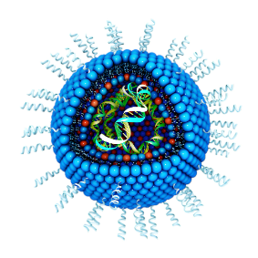 脂质体包裹NS-siRNA LNP@NS-siRNA：NS-siRNA 的特性与作用机制  