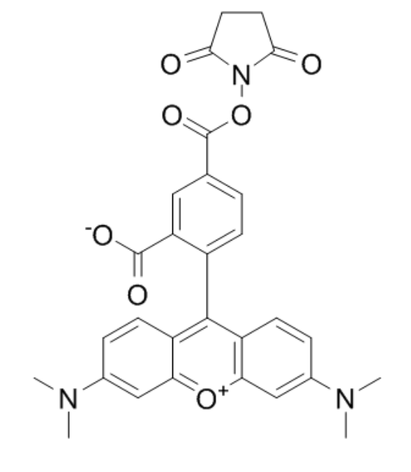 5-羧基四甲基罗丹明琥珀酰亚胺酯  5-TAMRA-NHS的产品称量技巧