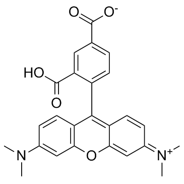 5-TAMRA-NH2  5-四甲基罗丹明-氨基的产品保存指南