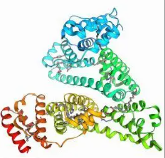 2-Octynoic acid-bovine serum albumin 2-辛炔酸修饰牛血清白蛋白的优缺点