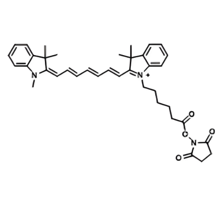 Lipid-soluble Cy7-NHS 脂溶性菁染料CY7活性酯的结构式分析