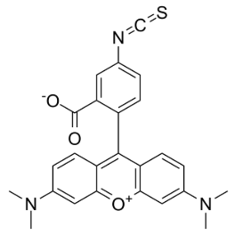 四甲基罗丹明-5-异硫氰酸酯   5-TRITC的产品使用指南