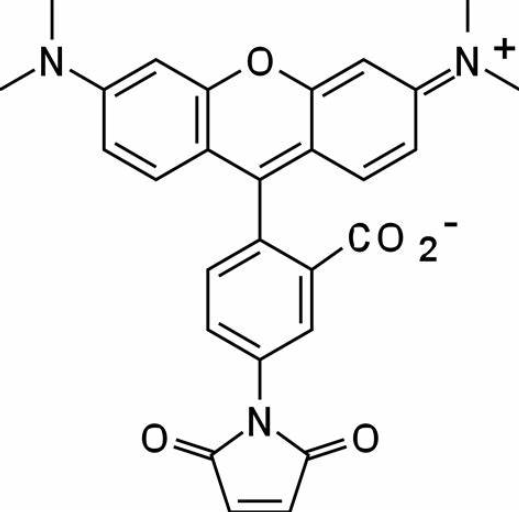5-羧基四甲基罗丹明  5-TAMRA的结构式